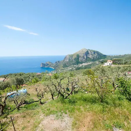 La Casetta Di Luca By Interhome SantʼAgata sui Due Golfi